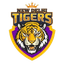 New Delhi Tigers Flag