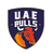 UAE Bulls-logo