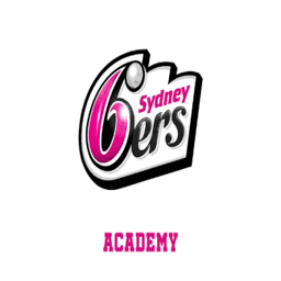 Team logo