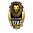 Simhadri Vizag Lions Flag