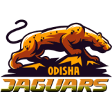 Team logo