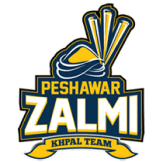 Team logo